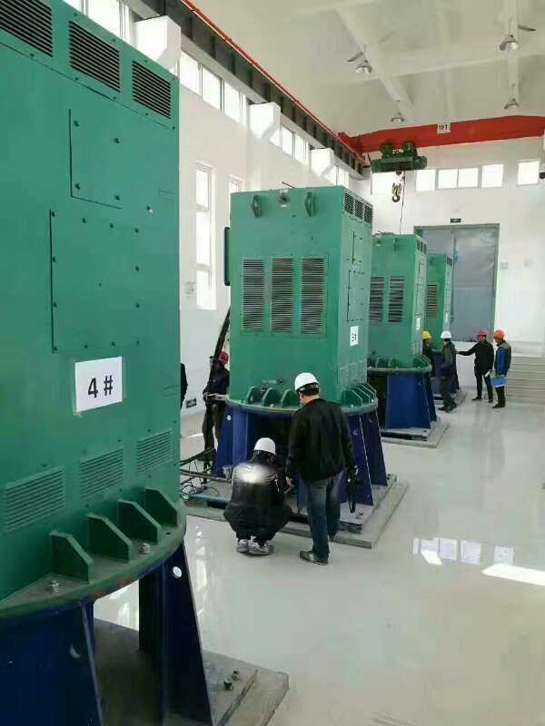 浔阳某污水处理厂使用我厂的立式高压电机安装现场